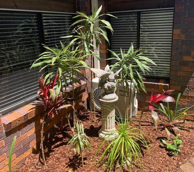 Montville Holiday Apartments Esterno foto